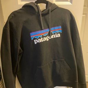 Patagonia Mens hoodie size L